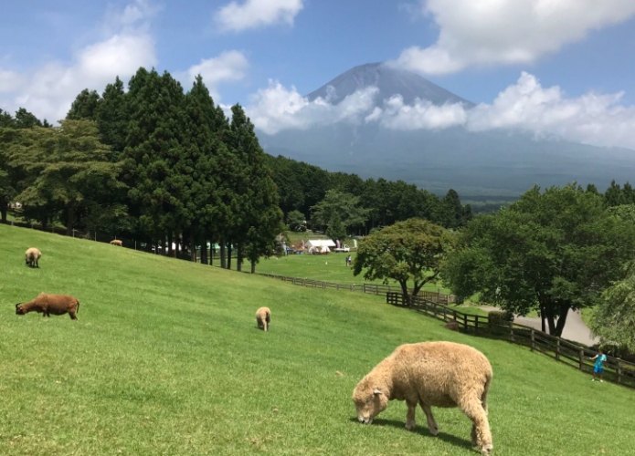 馬飼野牧場 馬飼野牧場
