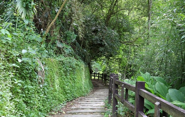 十二號橋溯溪步道 十二號橋溯溪步道