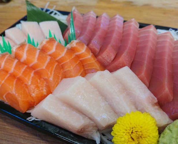 鮪魚飯店 鮪魚飯店