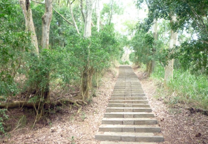 鹿廚坑步道 鹿廚坑步道