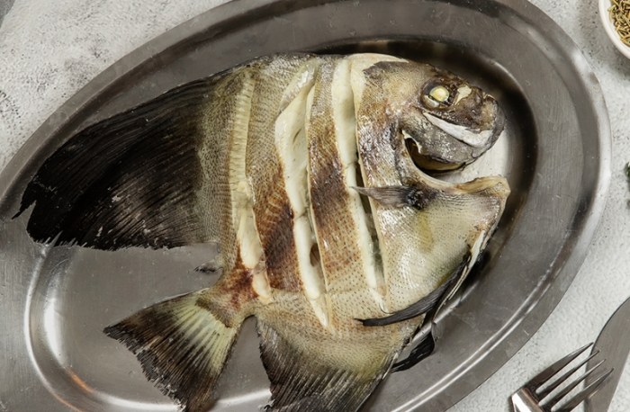 富貴魚