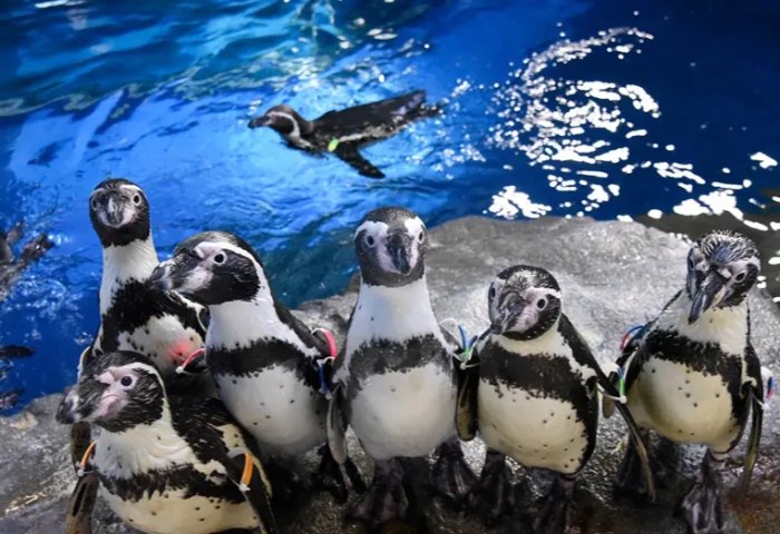 福岡水族館 福岡水族館