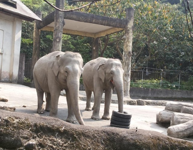 台北市動物園