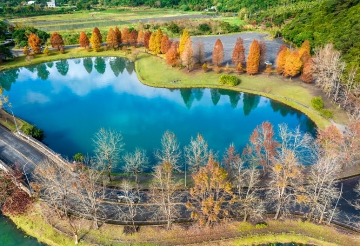 蜊埤湖 蜊埤湖