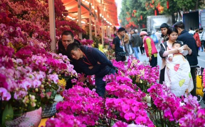 桃園花市 桃園花市