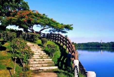 澄清湖風景區 澄清湖風景區