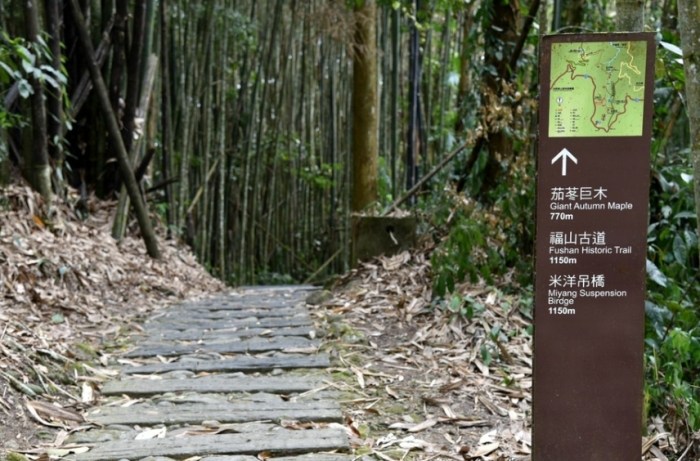 迷糊步道 迷糊步道