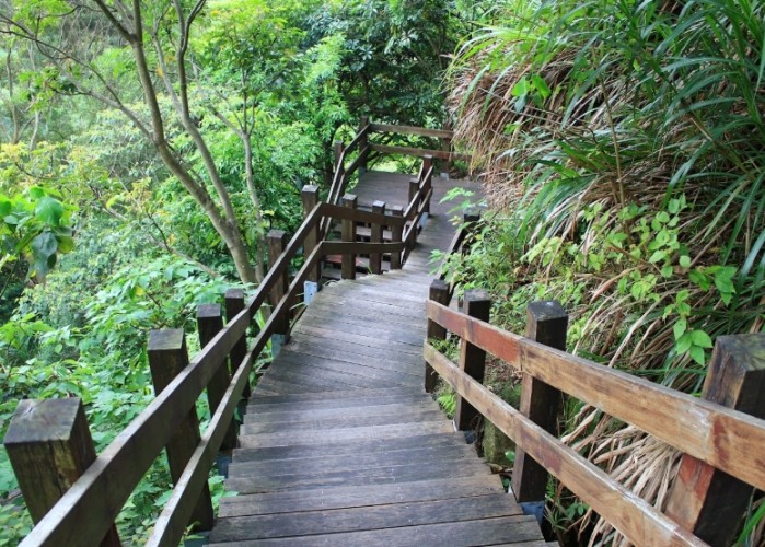 貴子坑親山步道 貴子坑親山步道