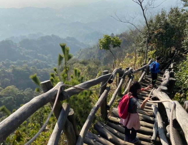 大坑三號登山步道 大坑三號登山步道