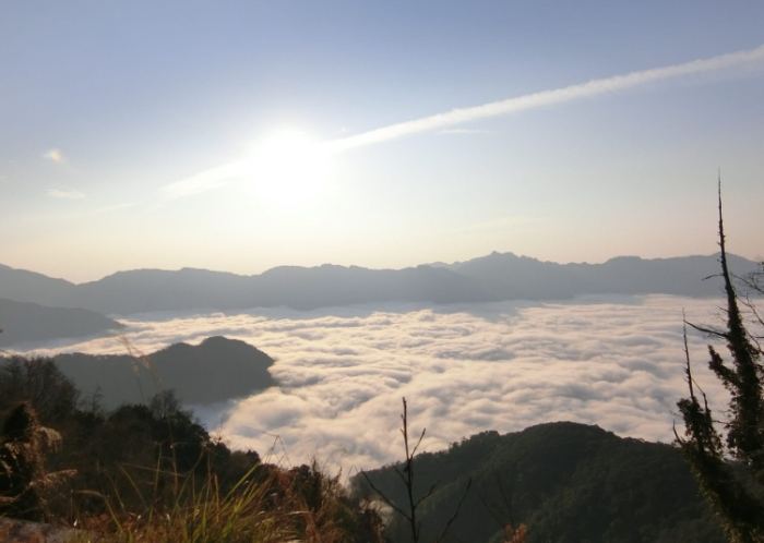 阿里山森林遊樂區 阿里山森林遊樂區