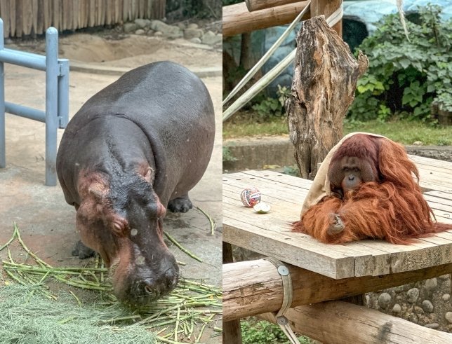 新竹市動物園 新竹市動物園