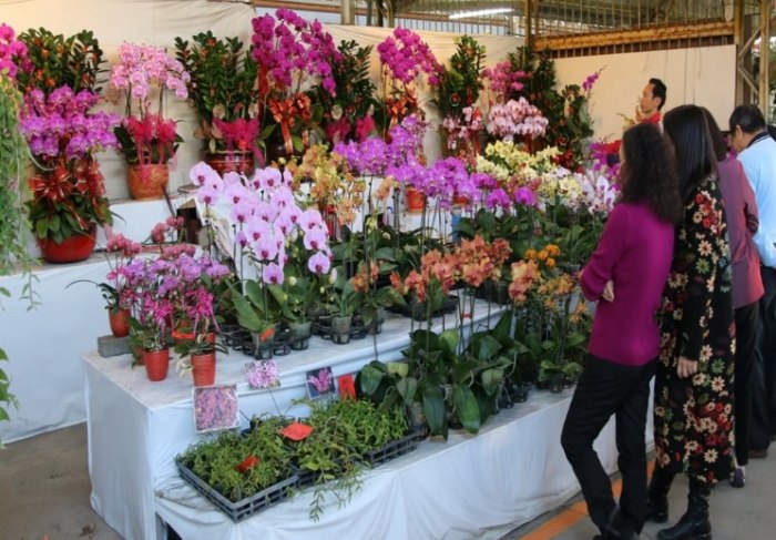 國光花市 國光花市