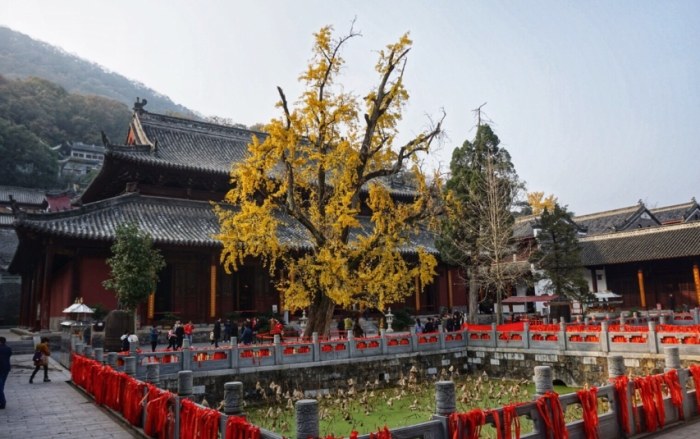 玉泉寺 玉泉寺