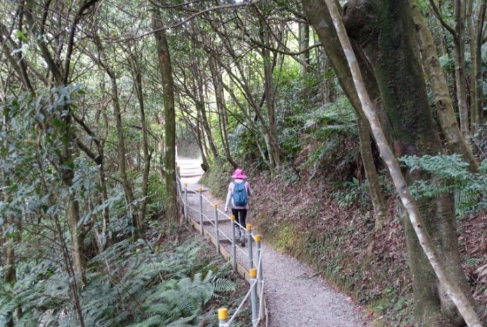 翠山步道 翠山步道