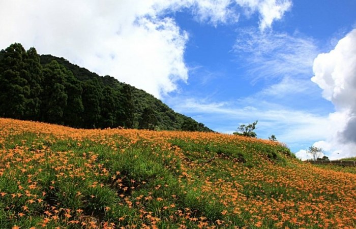 赤柯山小瑞士農場 赤柯山小瑞士農場