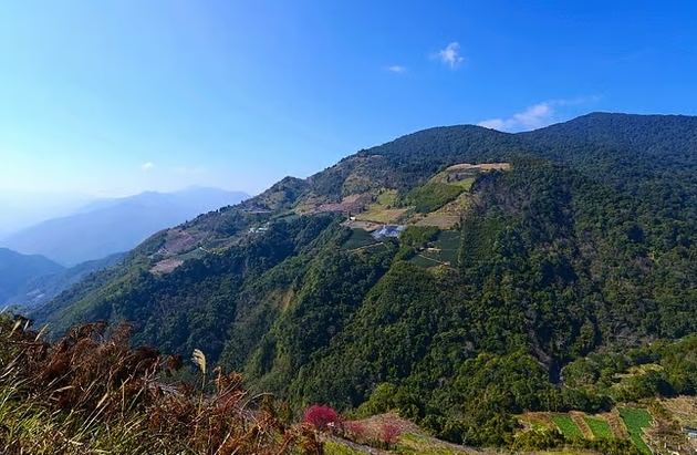 桃園拉拉山 桃園拉拉山