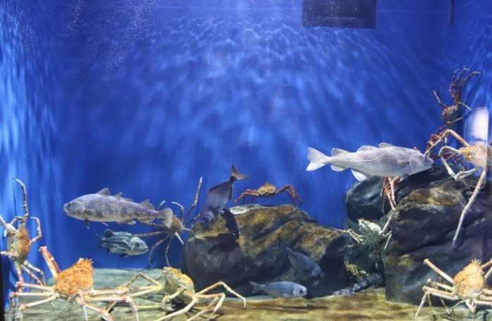 仙台水族館 仙台水族館