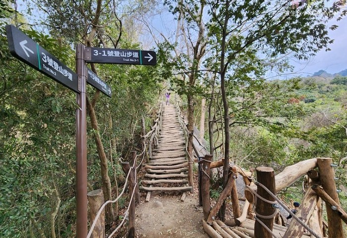 大坑三號登山步道 大坑三號登山步道