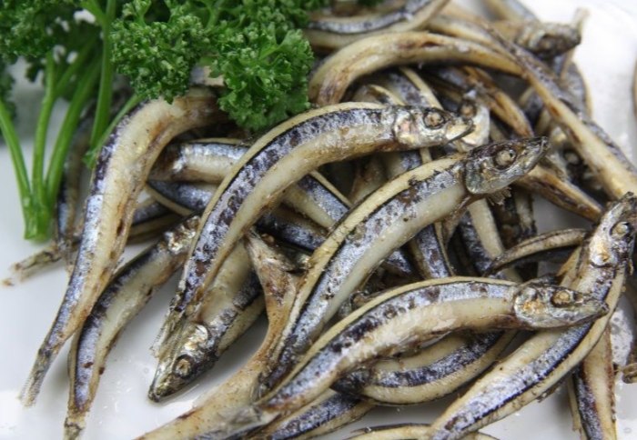 丁香魚 丁香魚