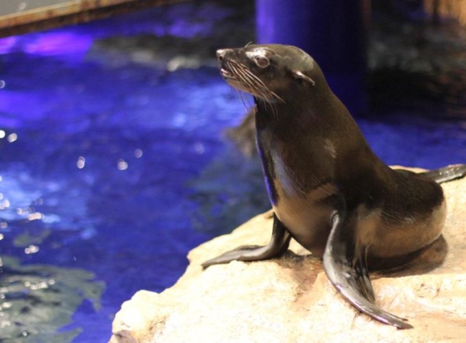 田尾水族館 田尾水族館