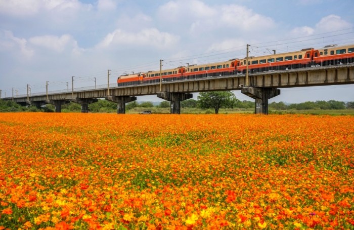 下淡水溪鐵橋 下淡水溪鐵橋
