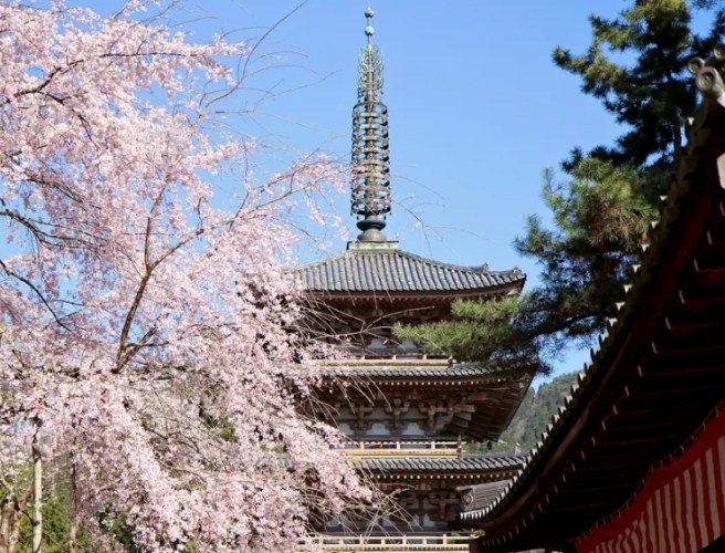 醍醐寺 醍醐寺