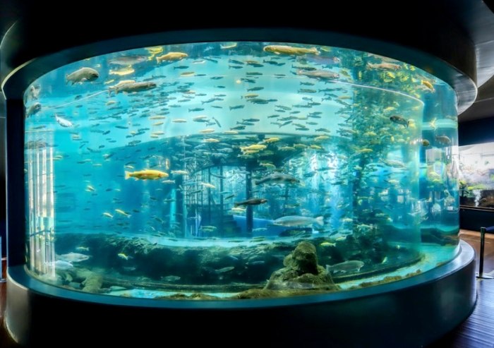 花蓮水族館