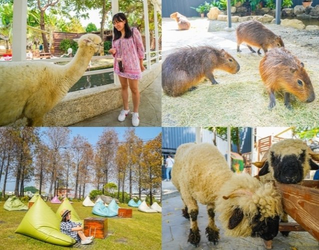 彰化親子農場 彰化親子農場