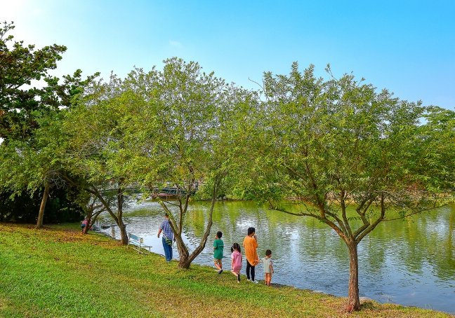 溪州公園森林區 溪州公園森林區
