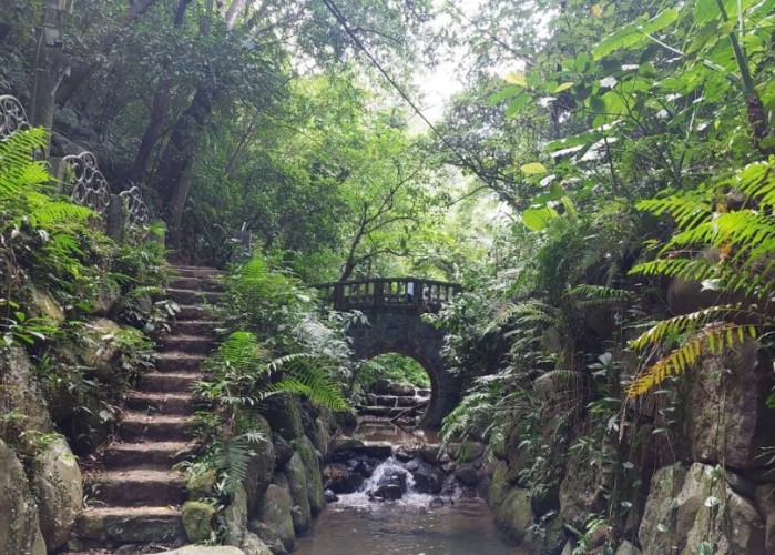 虎山溪步道 虎山溪步道