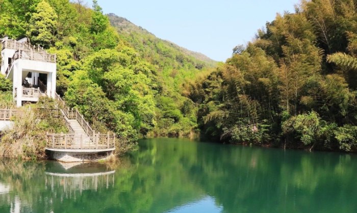 虎山登山步道 虎山登山步道