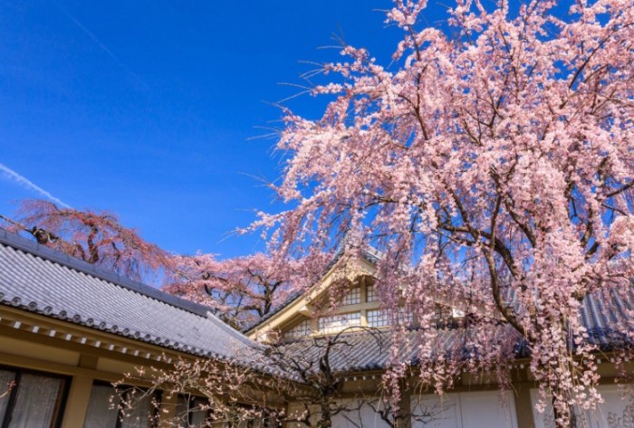醍醐寺 醍醐寺