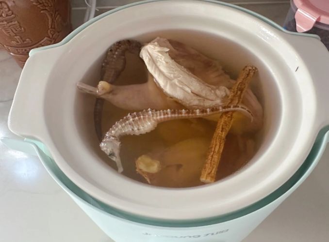 鷓鴣功效 鷓鴣功效