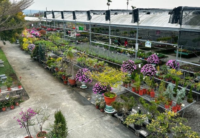 彰化花市 彰化花市