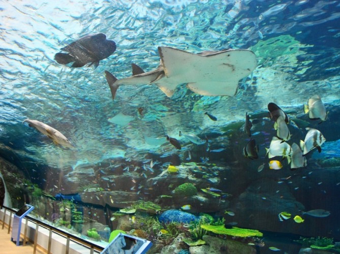 基隆水族館 基隆水族館