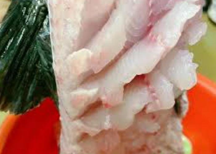 松鼠魚 松鼠魚