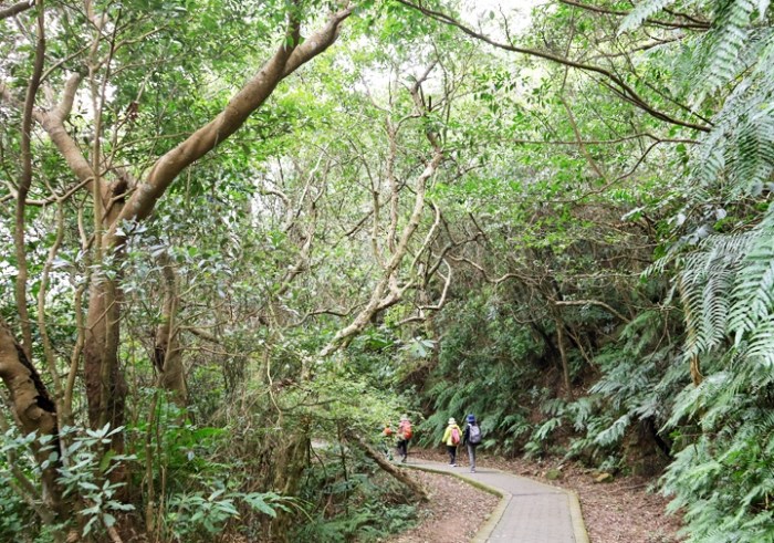 翠山步道 翠山步道