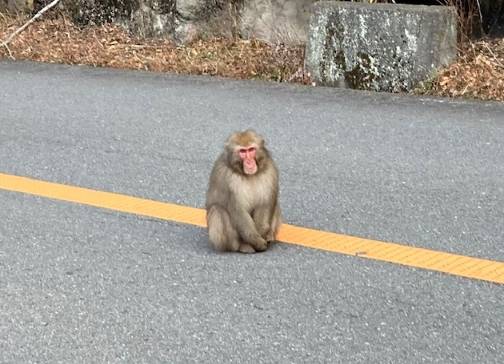 箕面瀑布
