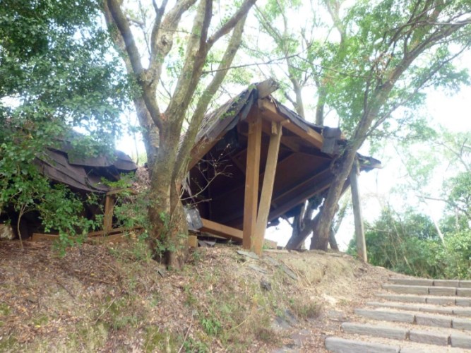 鹿廚坑步道 鹿廚坑步道