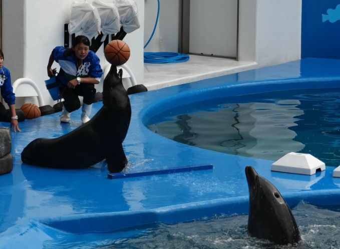 仙台水族館 仙台水族館