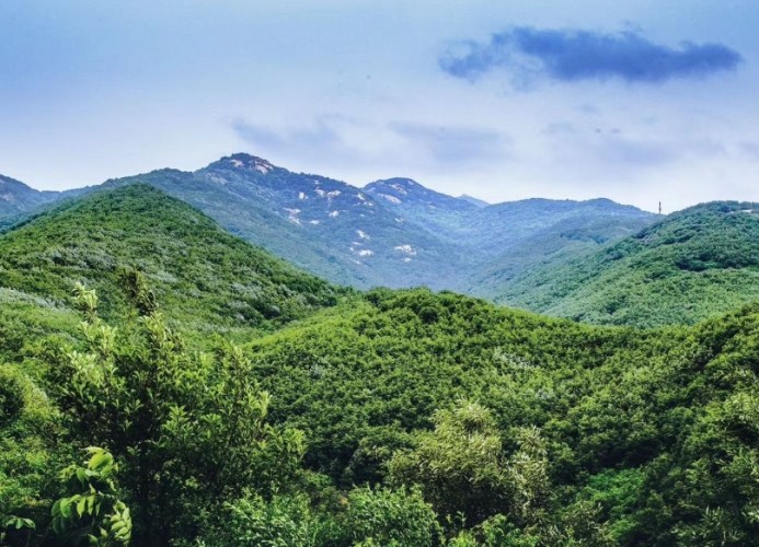 白云山 白云山