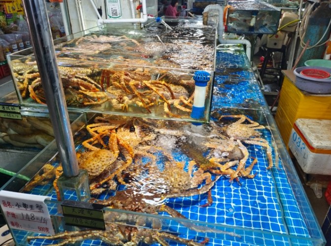 中壢新明市場 中壢新明市場
