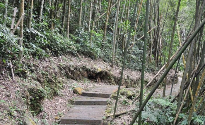 迷糊步道 迷糊步道