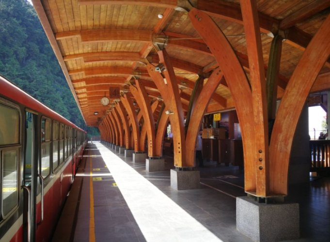 阿里山步道 阿里山步道