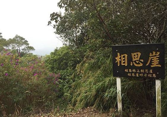 飛鳳山 飛鳳山