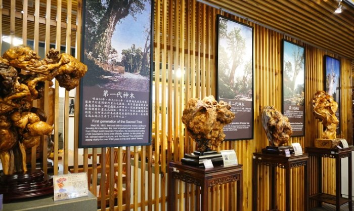 希諾奇台灣檜木博物館 希諾奇台灣檜木博物館