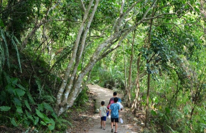 撒固兒步道 撒固兒步道