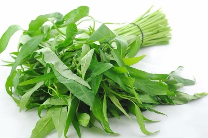 空心菜種植 空心菜種植