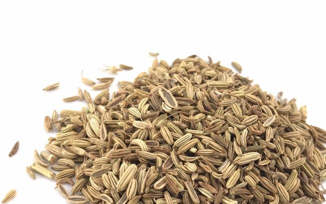小茴香功效 小茴香功效