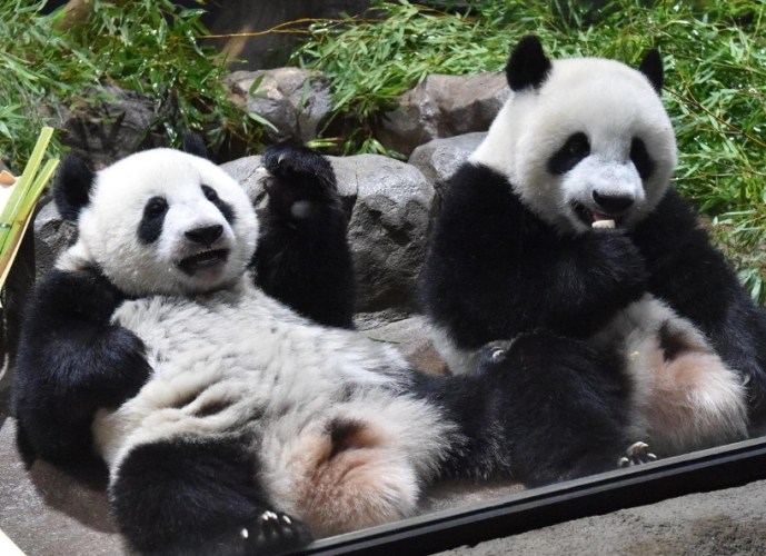 上野動物園 上野動物園